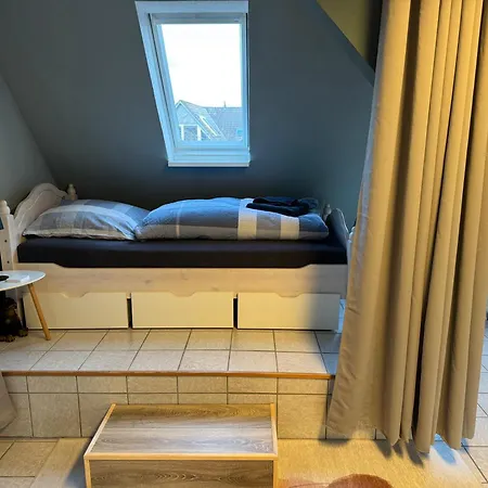 Grauemaus * Asendorf (Diepholz)