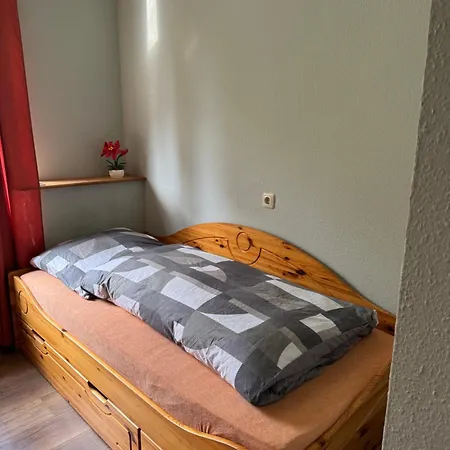 Grauemaus Asendorf (Diepholz)