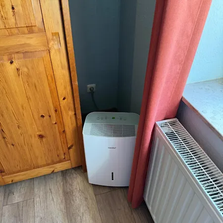 Grauemaus * Asendorf (Diepholz)