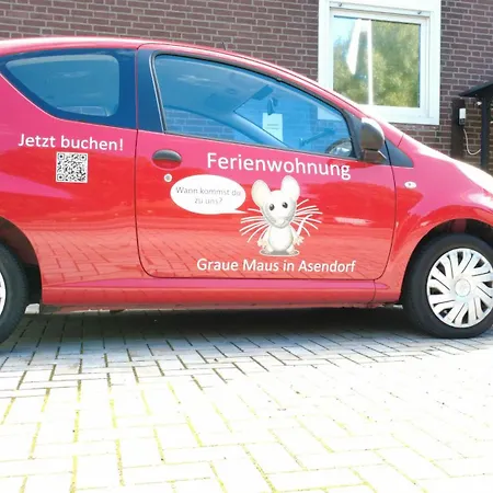 Grauemaus * Asendorf (Diepholz)